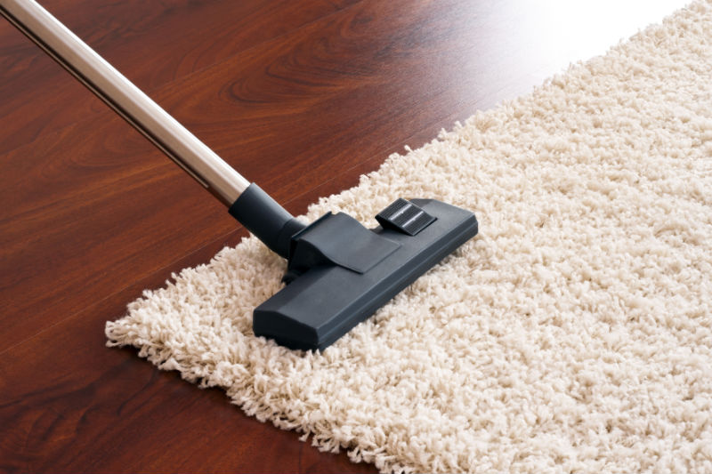 The Optimum Time of Year for Professional Carpet Cleaning in Santa Fe