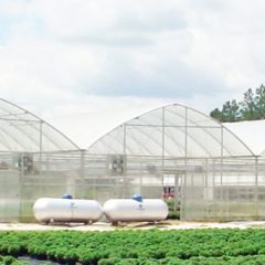 Industrial Greenhouses that are Built for Durability