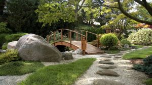 Residential Landscape Design In Santa Cruz CA, For A Tree Inside A Deck Area
