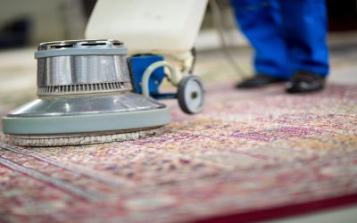 Why Carpet Cleaning Services in Stoughton, WI, Are More Important Than You Think