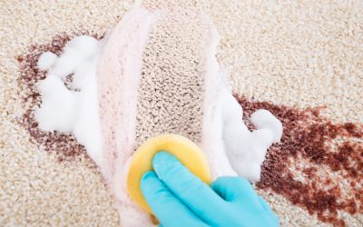 Impress Guests Effortlessly by Choosing House Cleaning in Lone Tree, CO Services