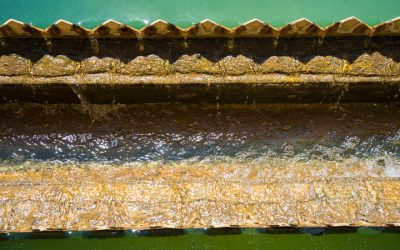 The Benefits of Hiring a Local Restoration Company in Bellevue WA After a Disaster