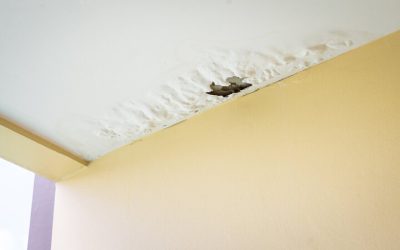 Fast Response from a Damage Restoration Company Bellevue, WA Residents Can Trust for Home Recovery