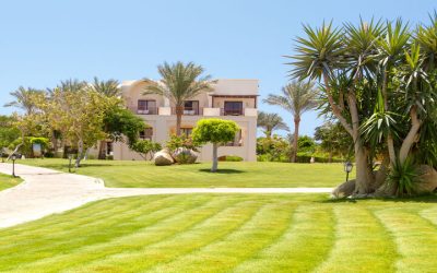 Boost Curb Appeal Fast Using Sod Replacement, Temecula, CA Homeowners Can Trust