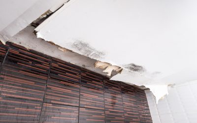 Quick And Permanent Wet Basement Repair In Cincinnati, OH For Healthier Living Spaces